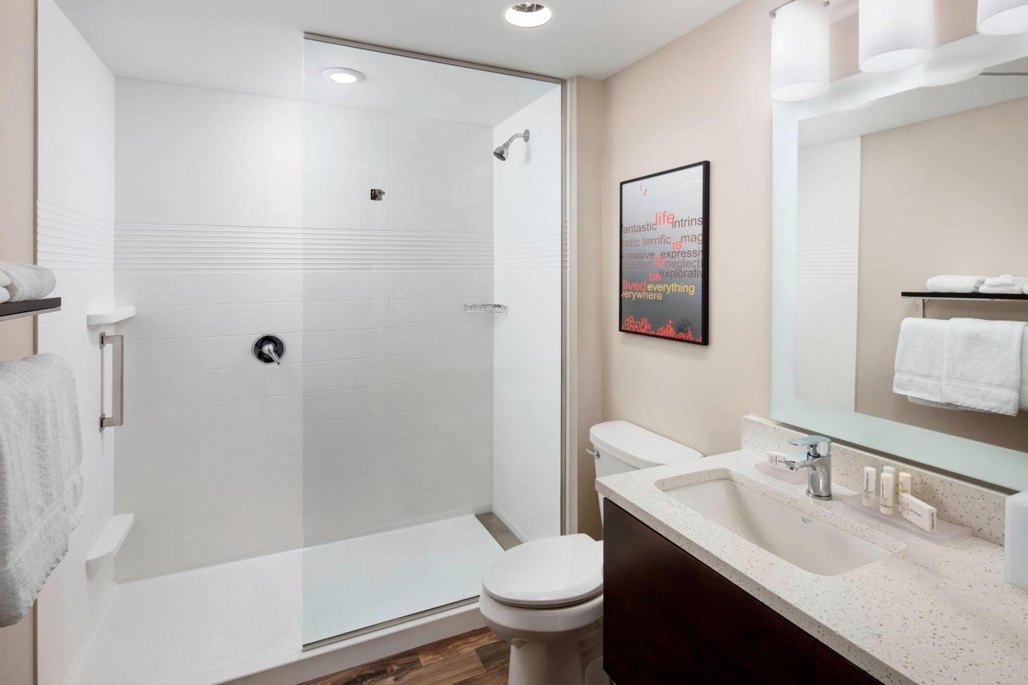 One Bedroom King Suite with Sofa Bed and City View